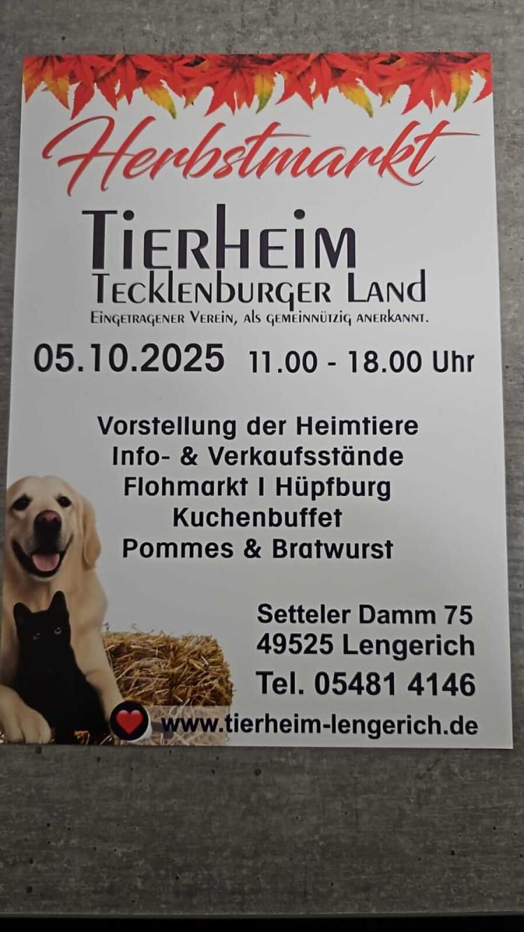 Tierheim geschlossen