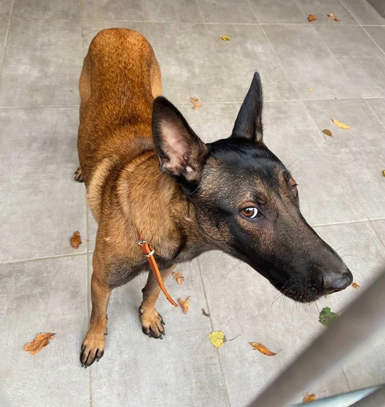 ayrie 2025 11 04 um 1056561