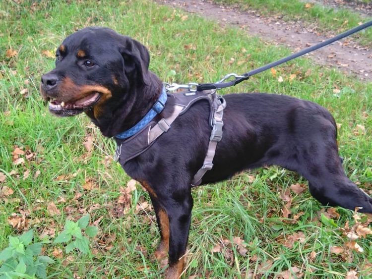 grace 20251016 wa0008