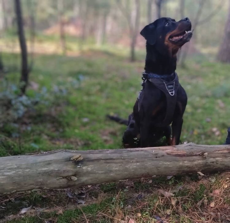 grace 20251019 wa0005